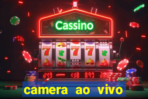 camera ao vivo terminal vila nova cachoeirinha